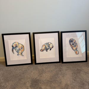 amypische ha añadido una foto de su compra