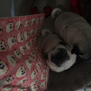 Alexandra added a photo of their purchase