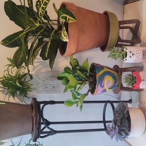 Yelena added a photo of their purchase