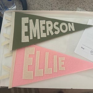 personalized name, custom dorm room pennant, roommate, dorm decor, college, preppy, door sign, wall art, grad gift, sorority, pink green