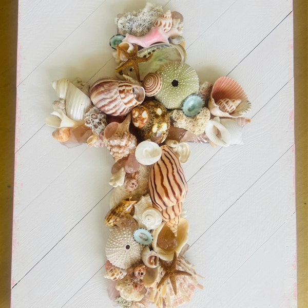 Conch Sea Shell | Garden Quality 6"-8" Conch Shell | Imperfect Conch ...