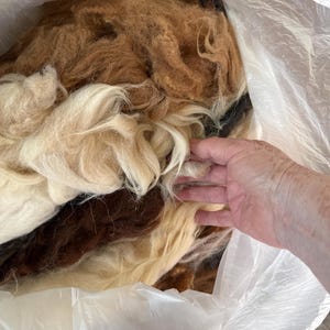 Sandy added a photo of their purchase