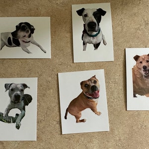 Sara added a photo of their purchase