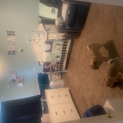 Peter Rabbit Beatrix Potter Custom Wooden Bookends grey, Book Lover ...