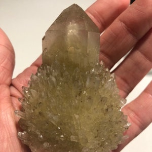 VIVIANA PEREGRINA added a photo of their purchase