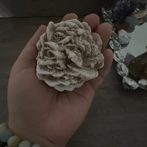 Kat added a photo of their purchase