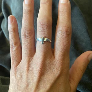Rachel added a photo of their purchase