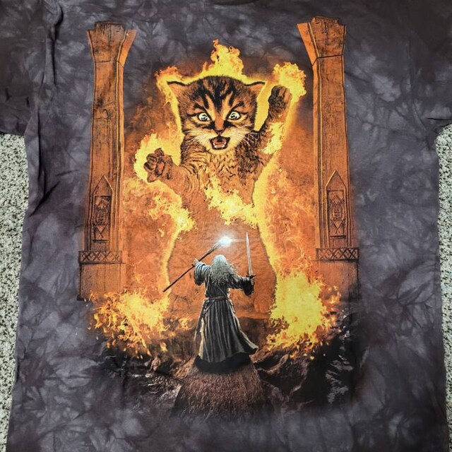 Cats Kittens Kitty You Shall Not Pass Fire Flames Gandalf Catdalf Frodo Lord of the Rings Wizard Magic Cute Adult the Mountain T shirt S 3X Etsy