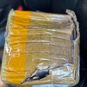 Sara added a photo of their purchase