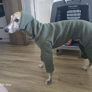Tereza added a photo of their purchase