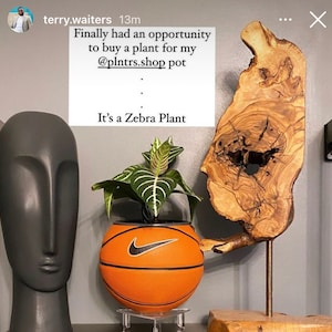 Michele ha añadido una foto de su compra