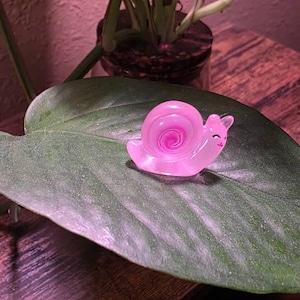TOMASINA added a photo of their purchase