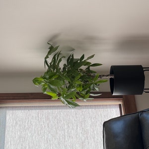 Sharyl ha añadido una foto de su compra