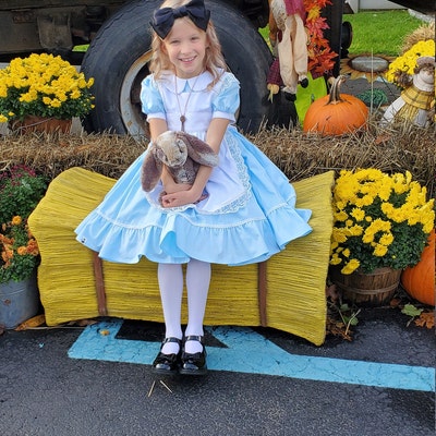 Alice in Wonderland Baby Girl Costume, Blue Dress for Onederland ...
