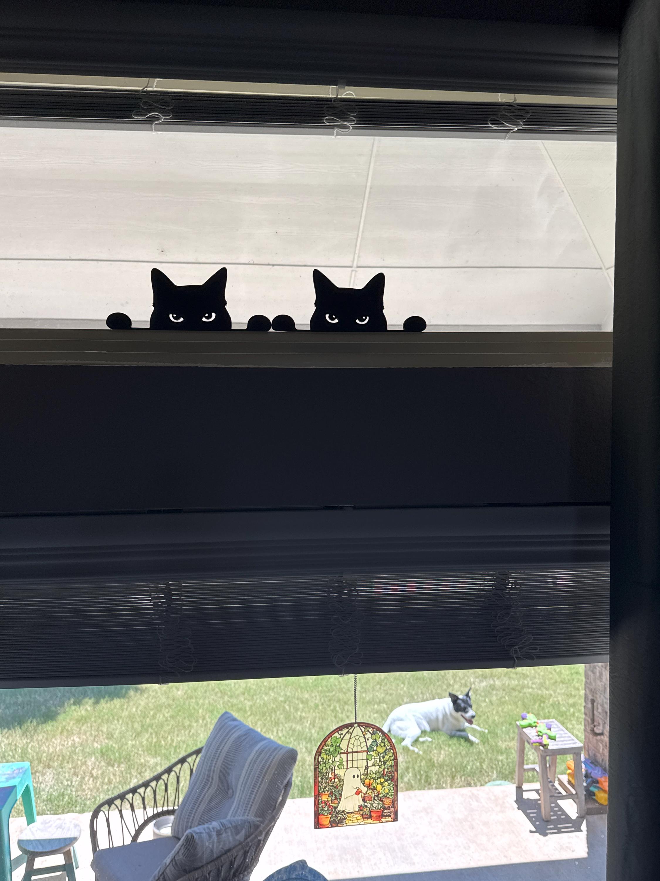 Black Cat Halloween Decor / Window Sill Cat / Witchy Kitten