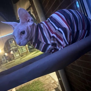 Nikki added a photo of their purchase