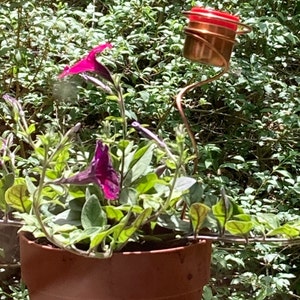 Martha added a photo of their purchase