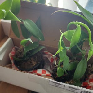 Bettina ha añadido una foto de su compra