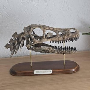 Kevin added a photo of their purchase