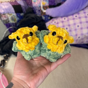 Rachel added a photo of their purchase
