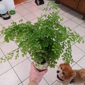 Christina ha añadido una foto de su compra