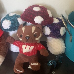 FiddleStickX adicionaram uma foto da sua compra