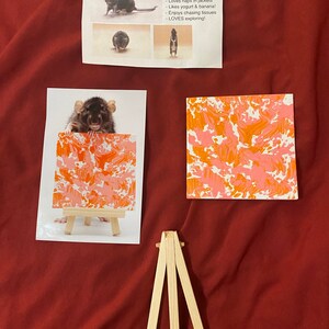 Linda added a photo of their purchase