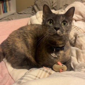 Noelle added a photo of their purchase