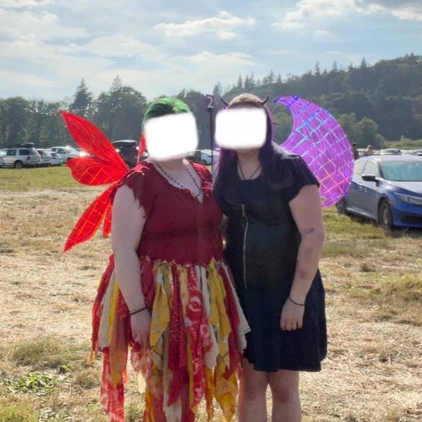 Mountain Fairy Wing - Handcrafted Cellophane Fairy Wings – Costume ...