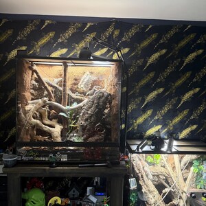 Renee ha añadido una foto de su compra