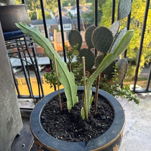 Robin added a photo of their purchase