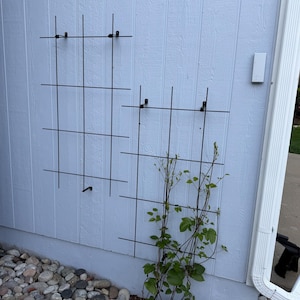 Arleen added a photo of their purchase