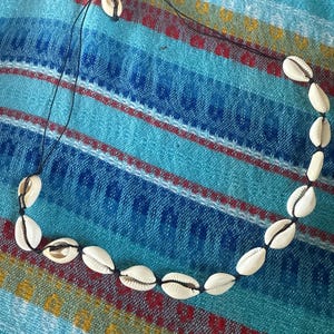 Halcón added a photo of their purchase