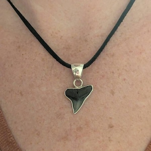Holly added a photo of their purchase