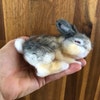 PDF FILES Needle Felt Pattern Realistic Sleeping Baby Bunny Instant ...