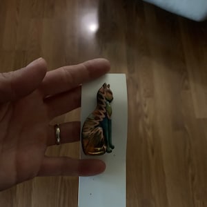 Lillian added a photo of their purchase