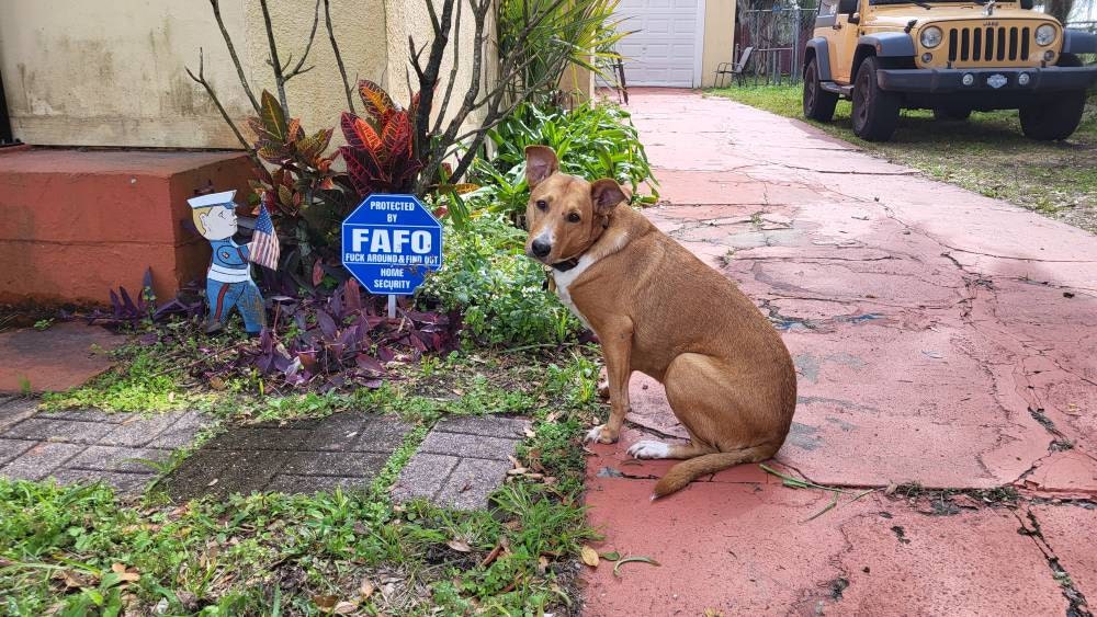 FAFO Home Security Sign
