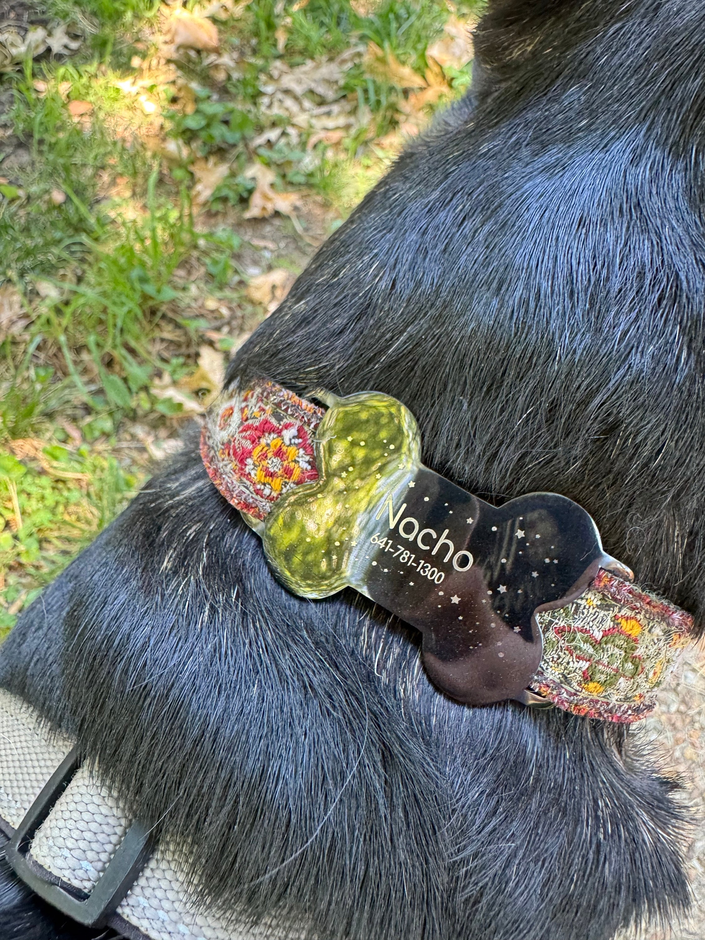 Silent dog tag personalized,Slide on dog tag,Dog Tags For Dogs,Custom Dog Name Tag,Engraved Pet ID Tag,Dog Tag Collar,Cat Tag,Puppy Tag