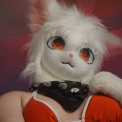 Husky Earsblack Dog Ears B022 - Etsy