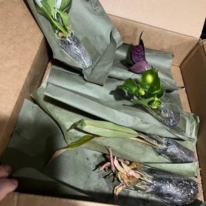 Lisa added a photo of their purchase