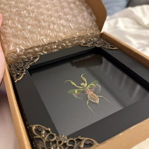 alannah ha añadido una foto de su compra