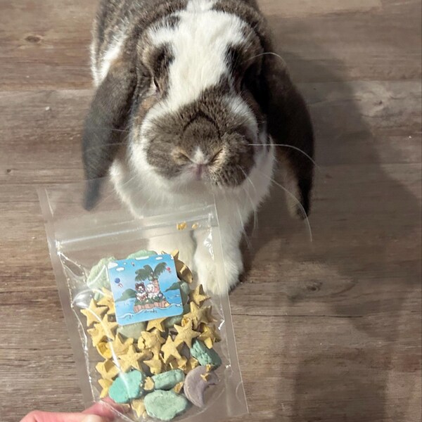 Bunny O's Cereal Treat, Rabbit Fruit Loops Inspired Treat, Small Animal ...