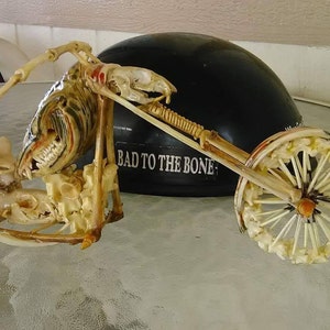 Mike added a photo of their purchase