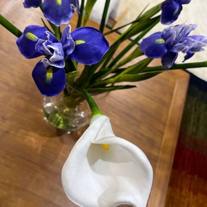 Vantha added a photo of their purchase