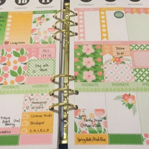 Rosa Xoxo Deluxe Pegatina Kit Para Erin Condren Vertical Planner amor