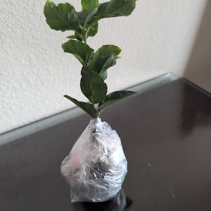 Seema added a photo of their purchase