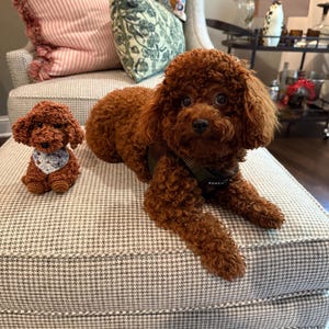 Aimee a ajouté une photo de son achat