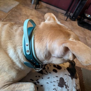 Kiara added a photo of their purchase