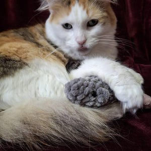 Melissa ha añadido una foto de su compra