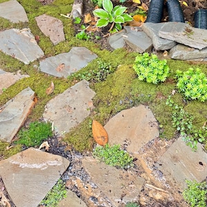 Jessica added a photo of their purchase